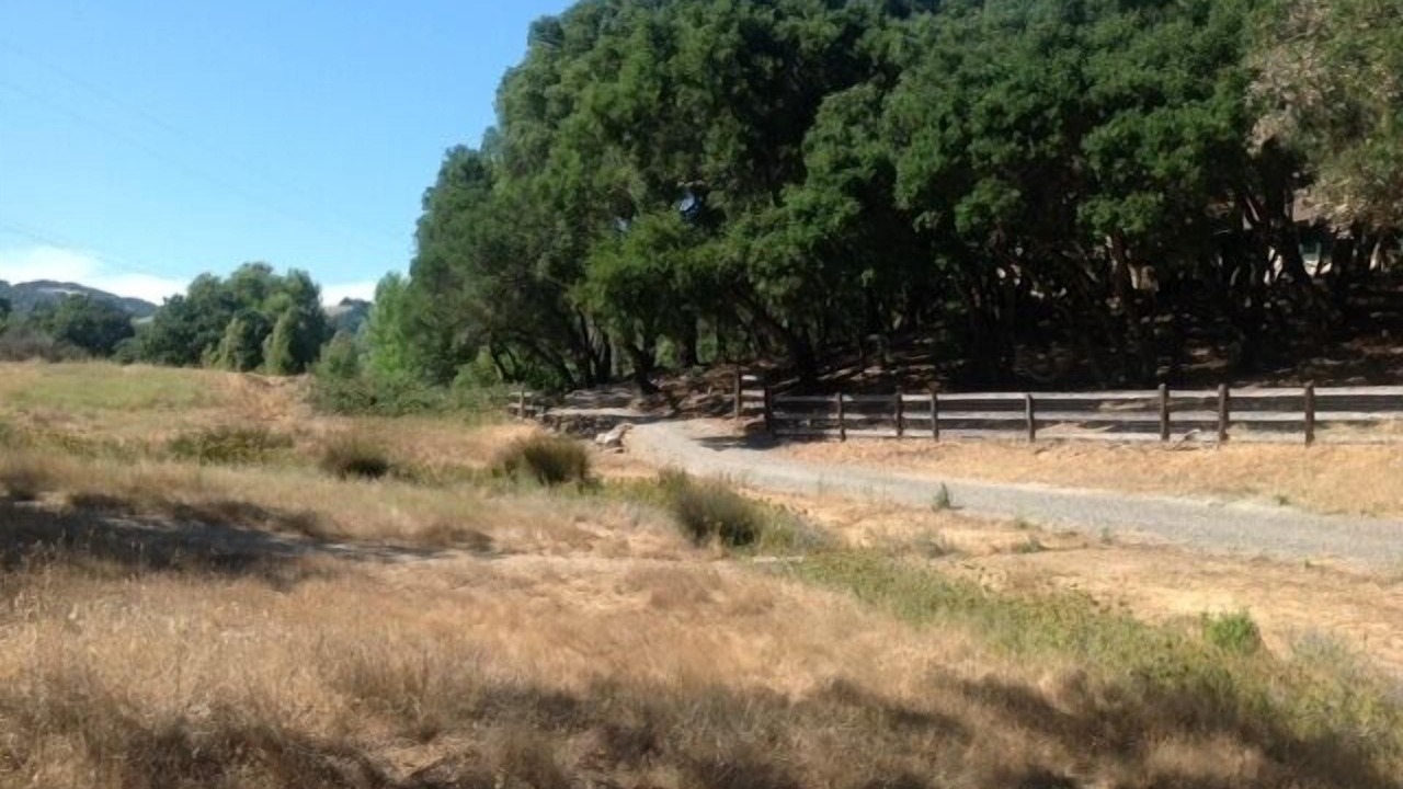 Photo of Others in Sonoma