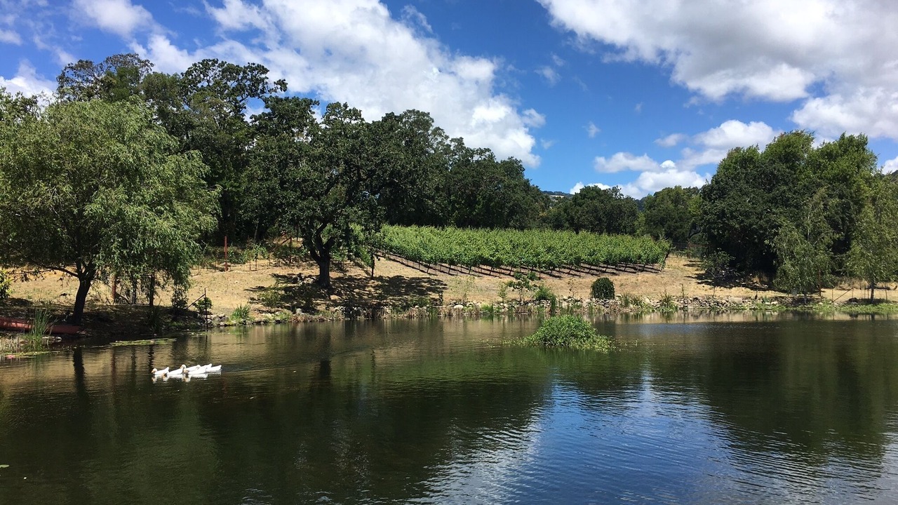 Photo of Outdoor in Sonoma
