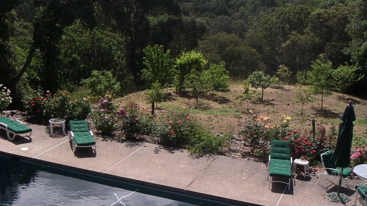 Photo of Outdoor in Sonoma