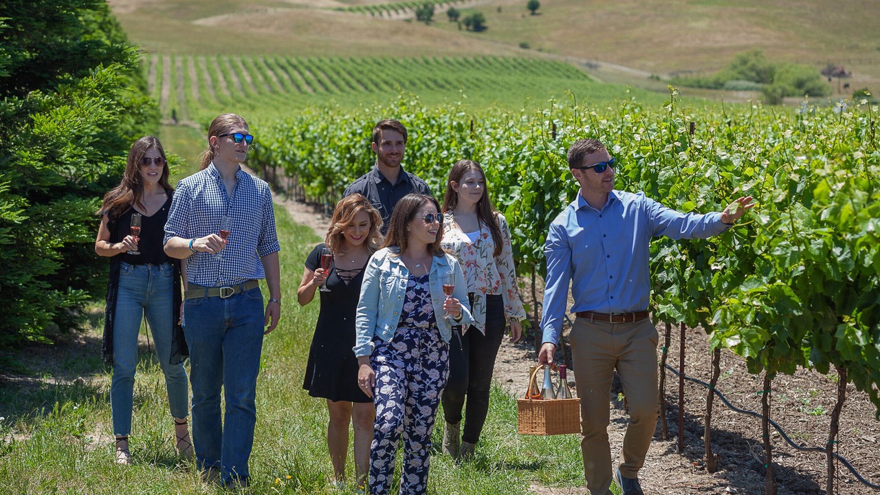 Photo of Outdoor in Sonoma