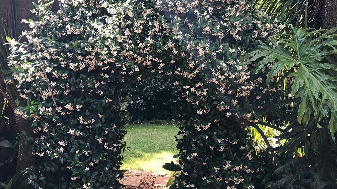 Photo of Outdoor in Bedfordview