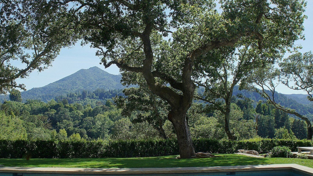 Photo of Outdoor in Greenbrae