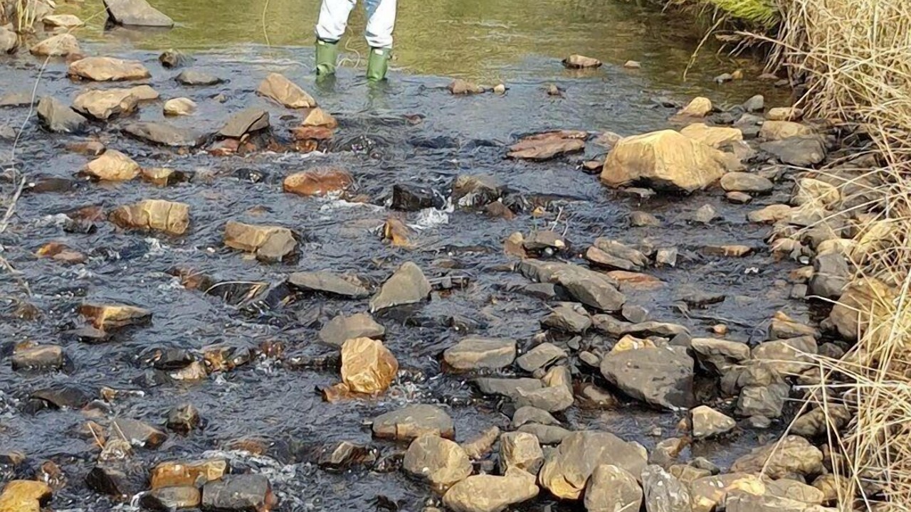 Photo of Others in Dullstroom