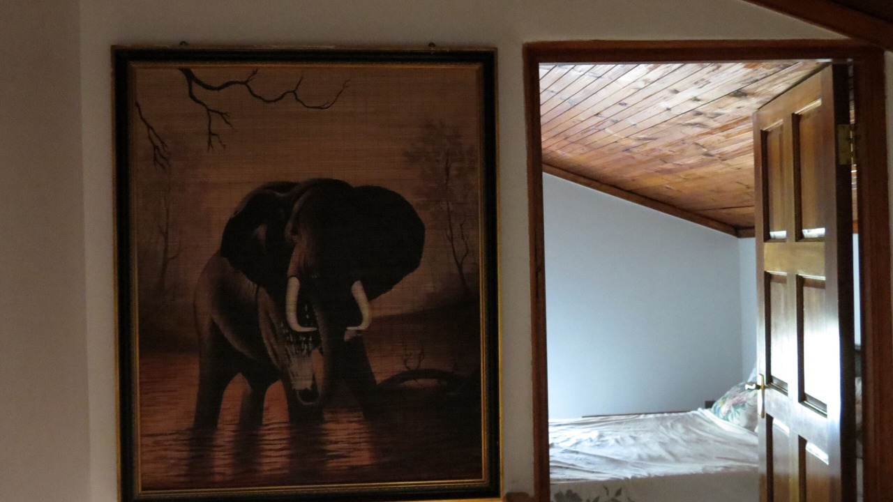 Photo of Bedroom in Durbanville