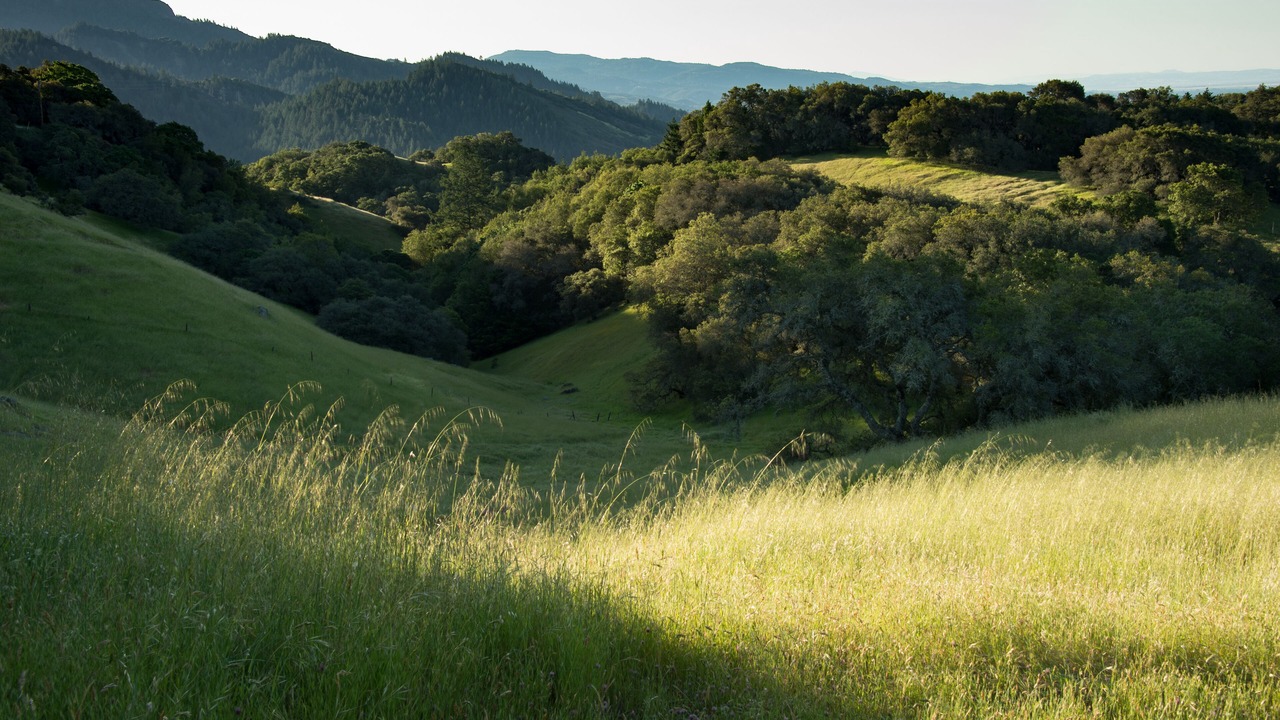 Photo of Outdoor in Santa Rosa