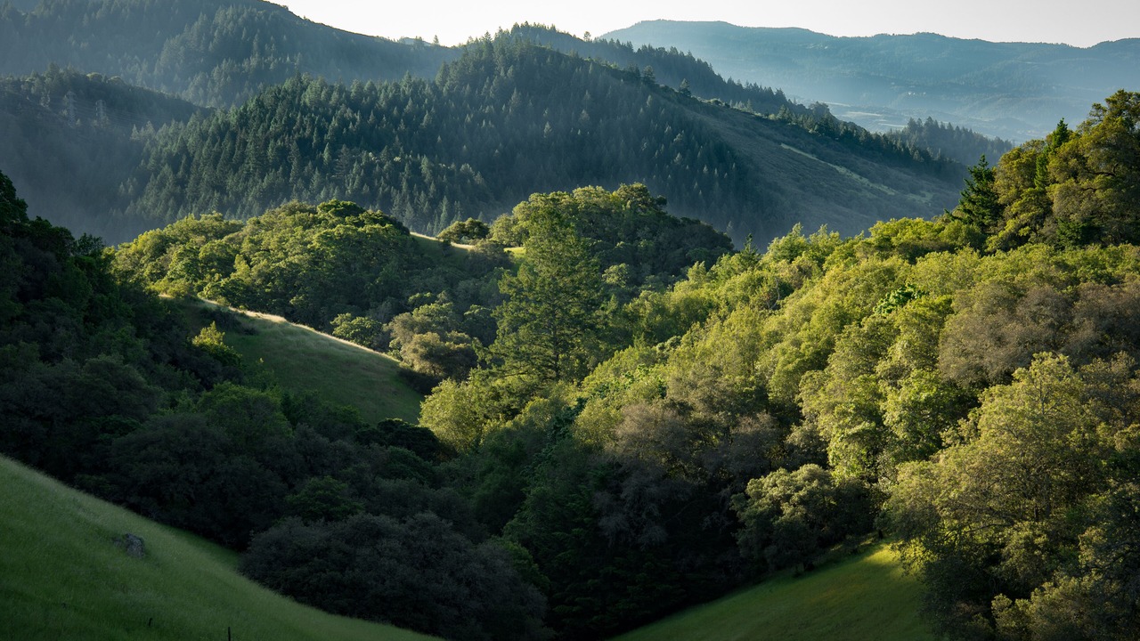 Photo of Others in Santa Rosa