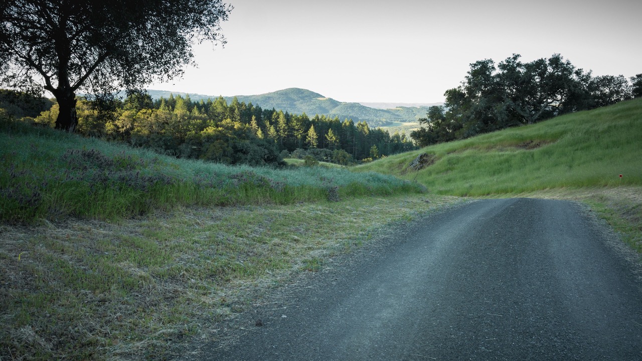 Photo of Others in Santa Rosa