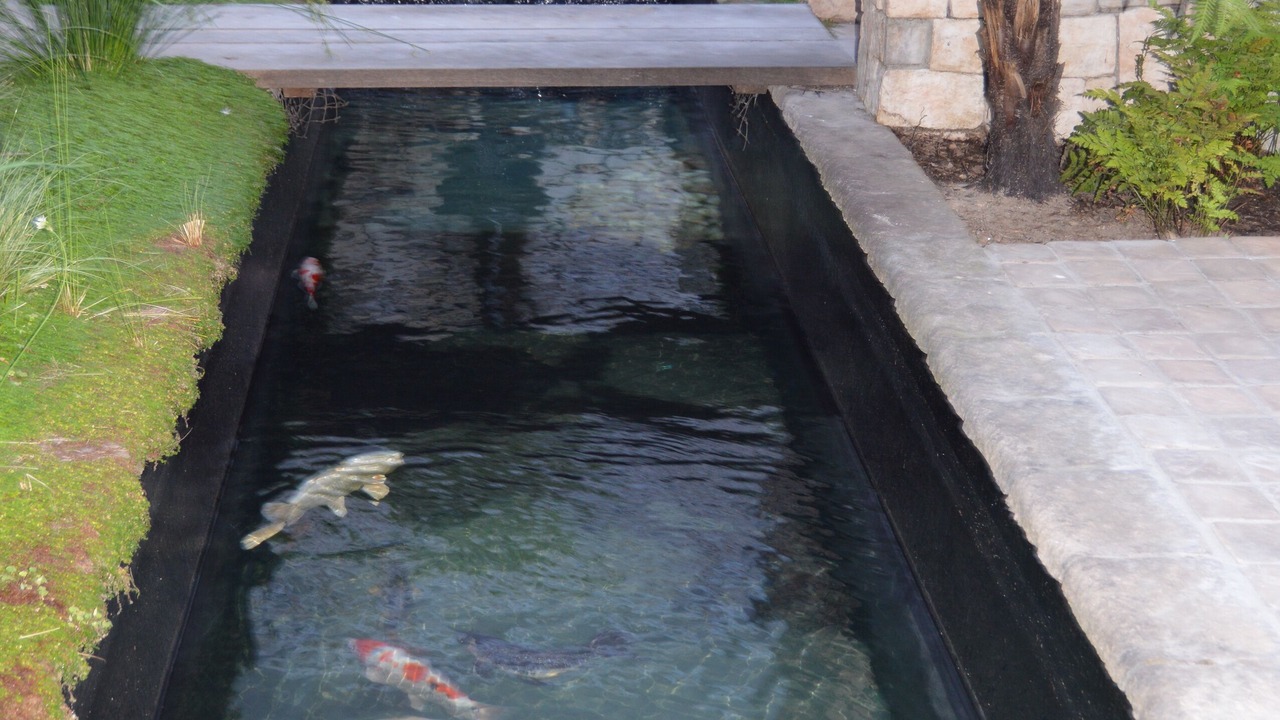 Photo of Outdoor in Durbanville