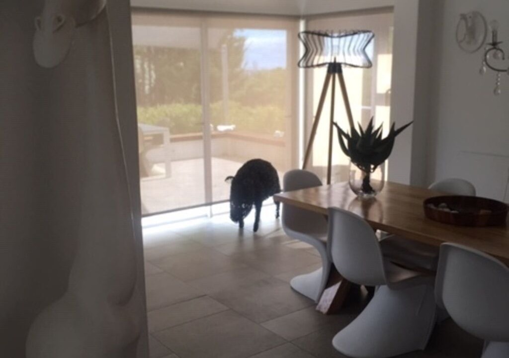 Photo of Others in Somerset West