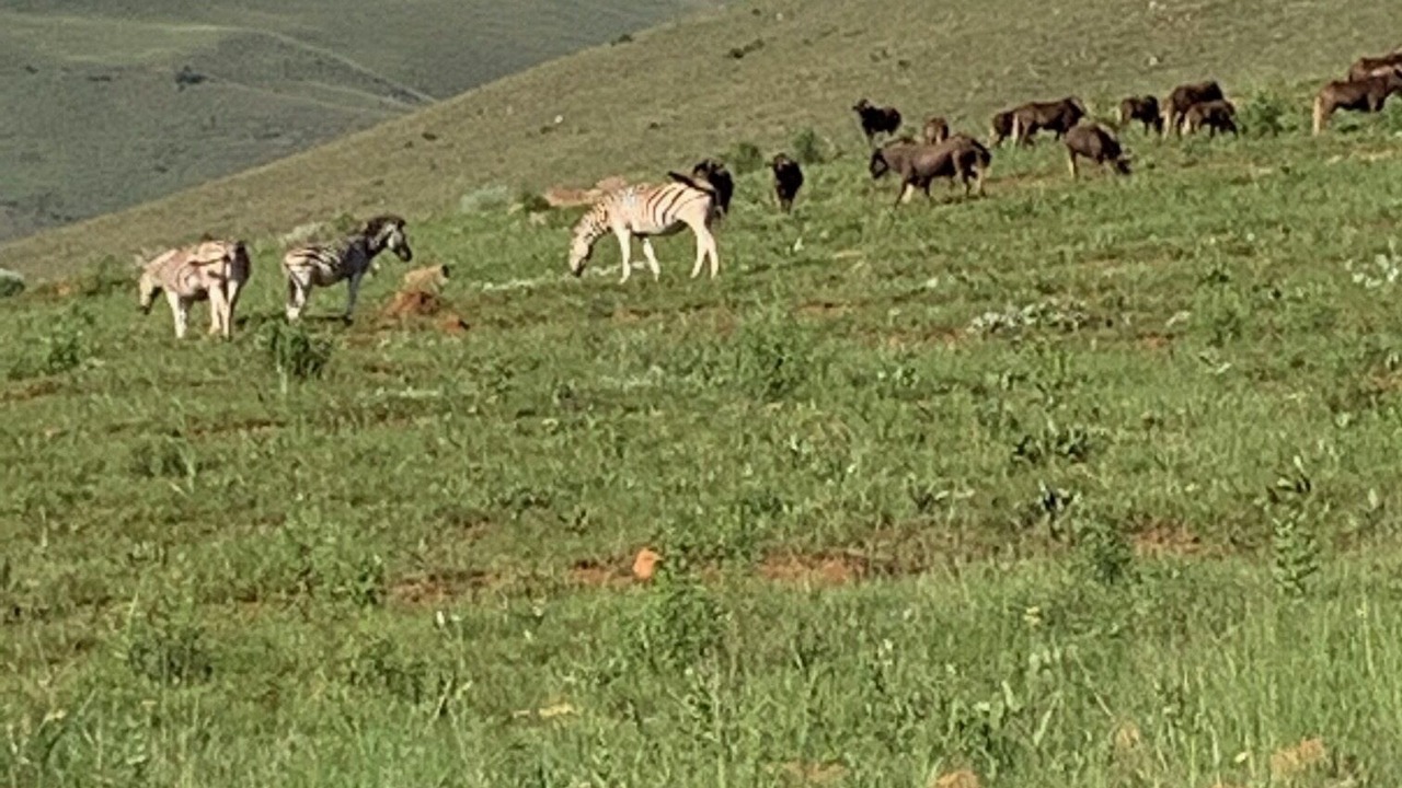 Photo of Outdoor in Emakhazeni