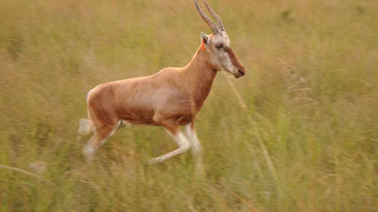 Photo of Outdoor in Emakhazeni