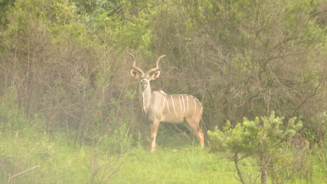 Photo of Outdoor in Emakhazeni