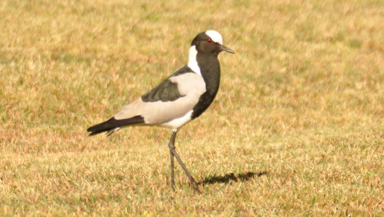 Photo of Outdoor in Emakhazeni
