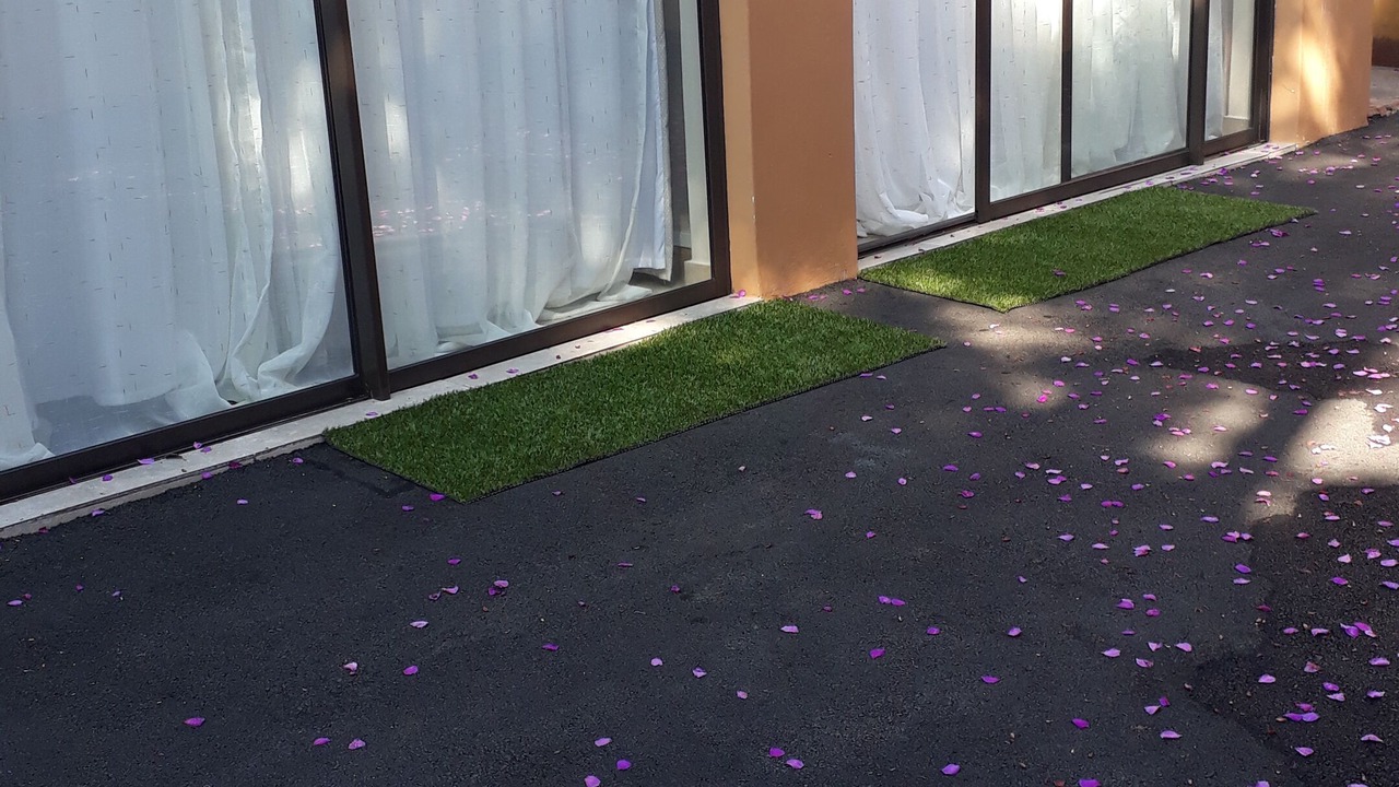 Photo of Outdoor in Durban North
