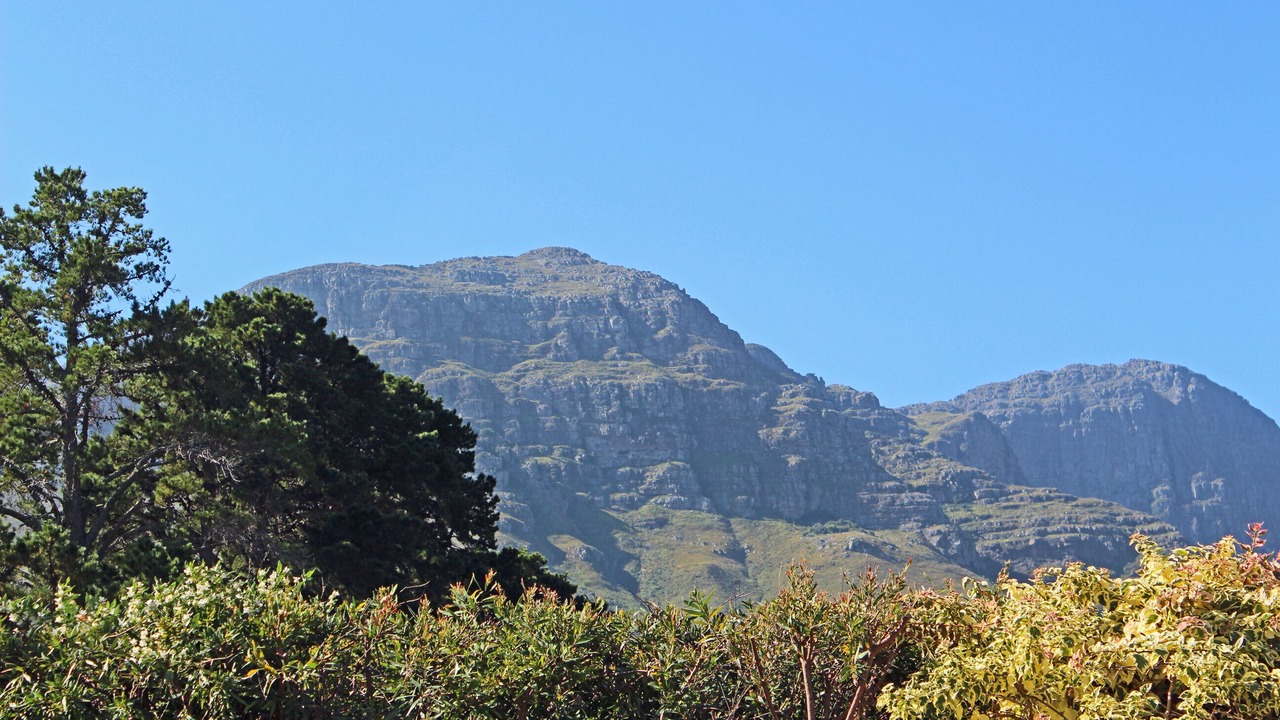 Photo of Others in Somerset West