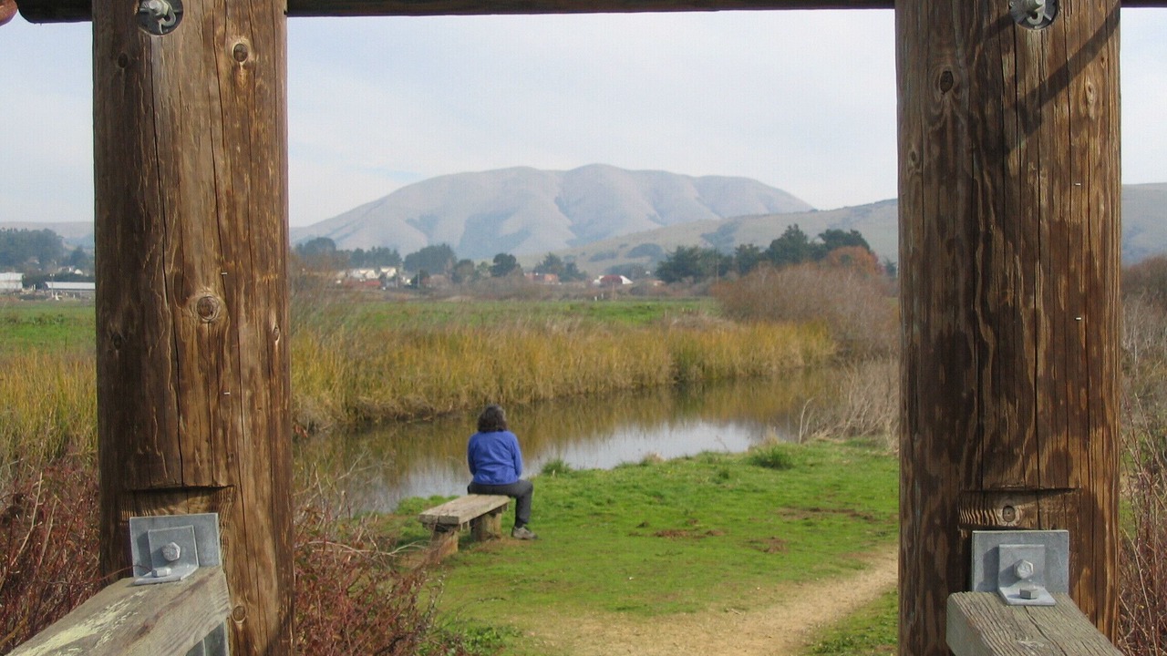 Photo of Others in Point Reyes Station