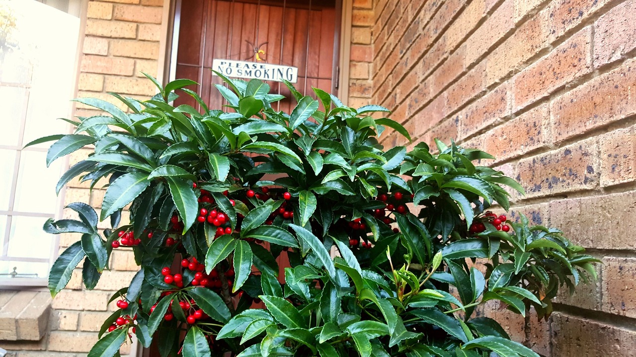 Photo of Outdoor in Nelspruit