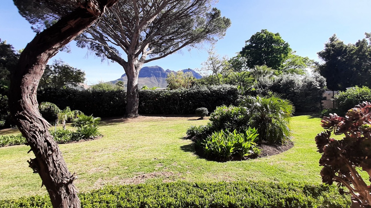 Photo of Outdoor in Somerset West