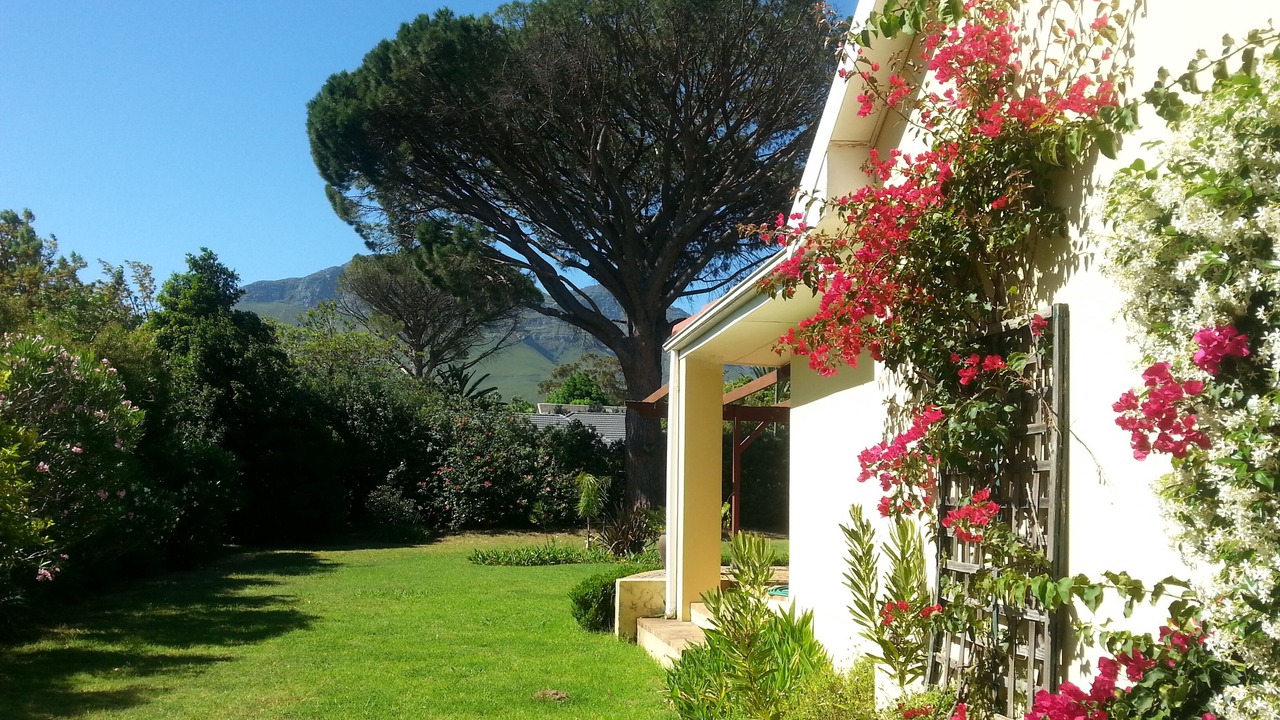 Photo of Outdoor in Somerset West
