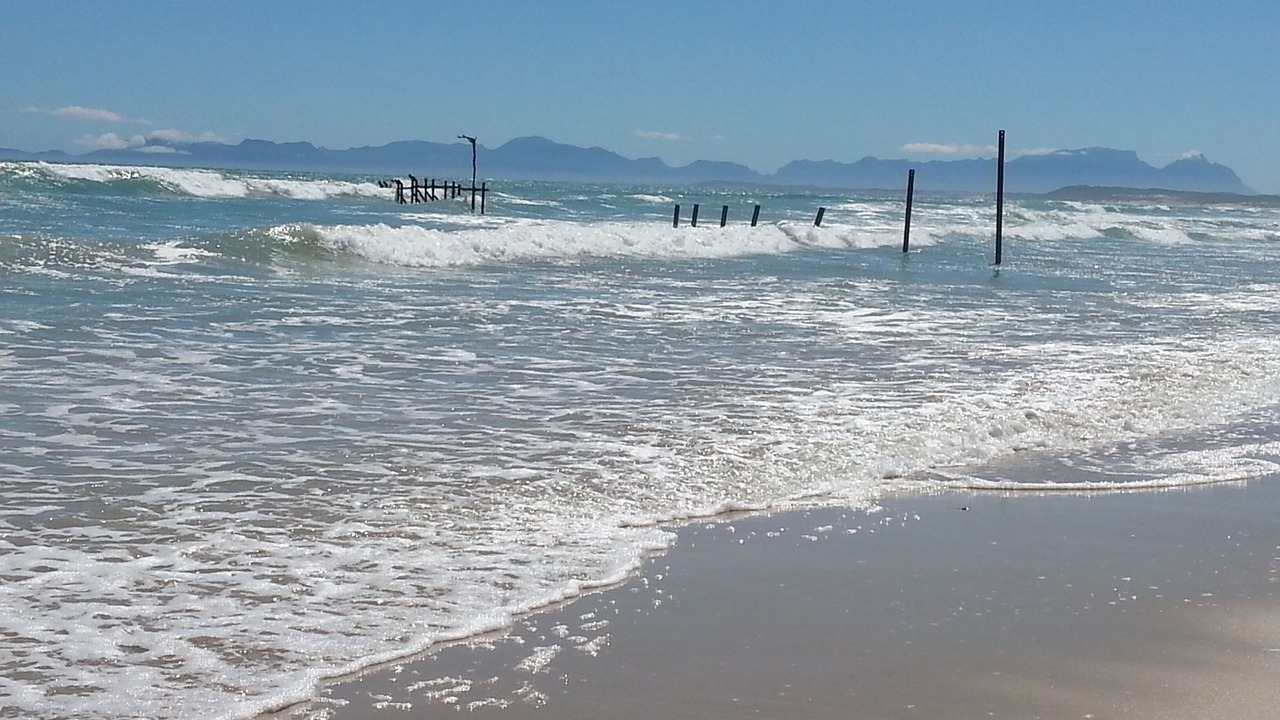 Photo of Others in Somerset West