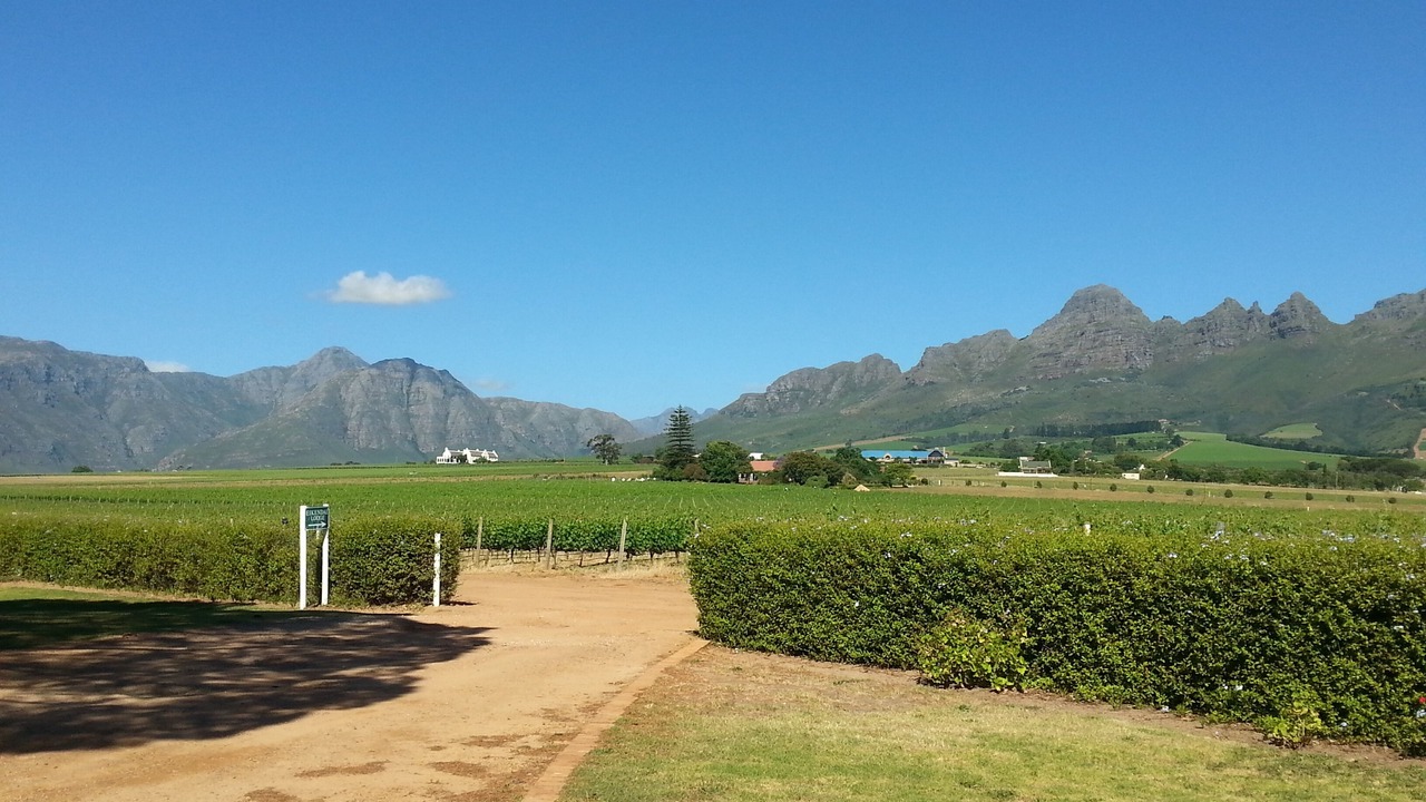 Photo of Outdoor in Somerset West