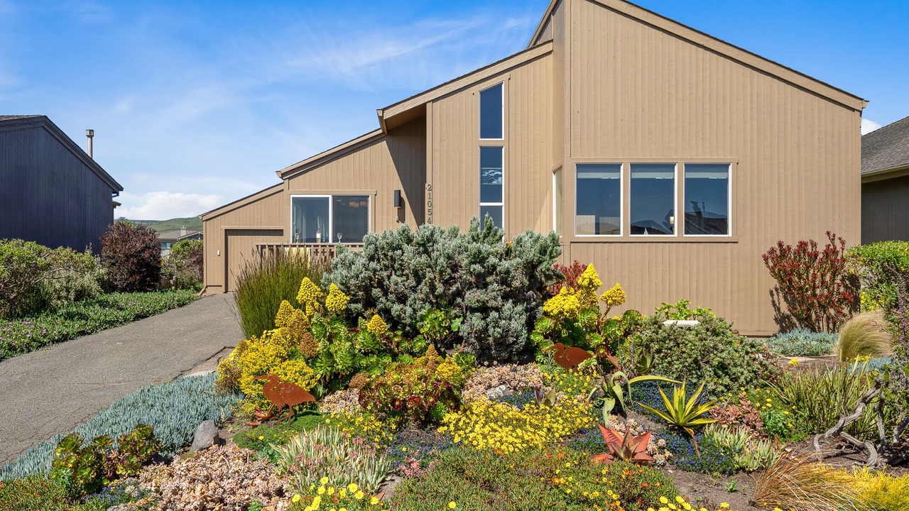Photo of Others in Bodega Bay