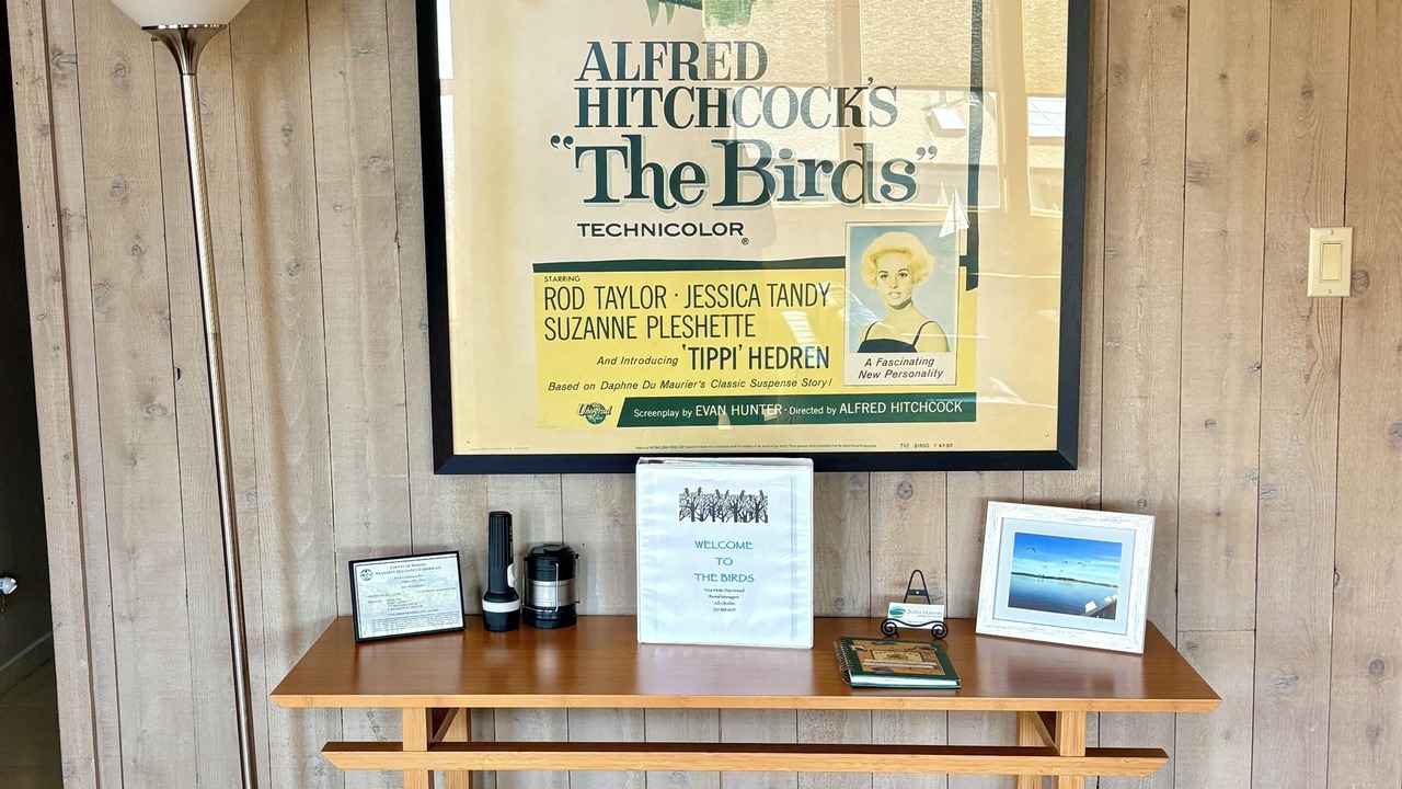 Photo of Others in Bodega Bay