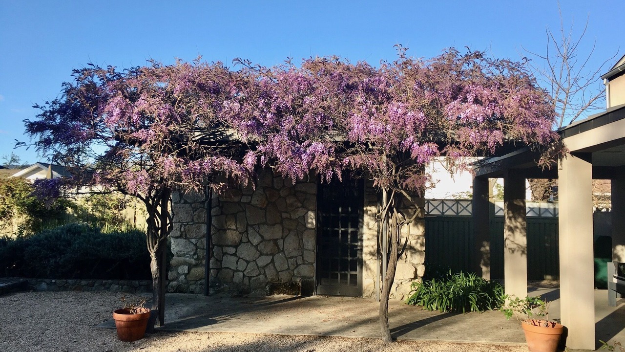 Photo of Bedroom in St. Helena