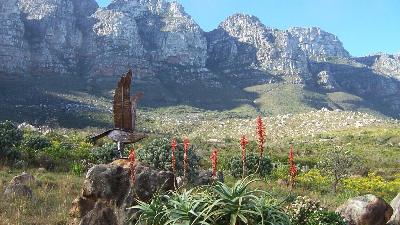 Photo of Outdoor in Camps Bay