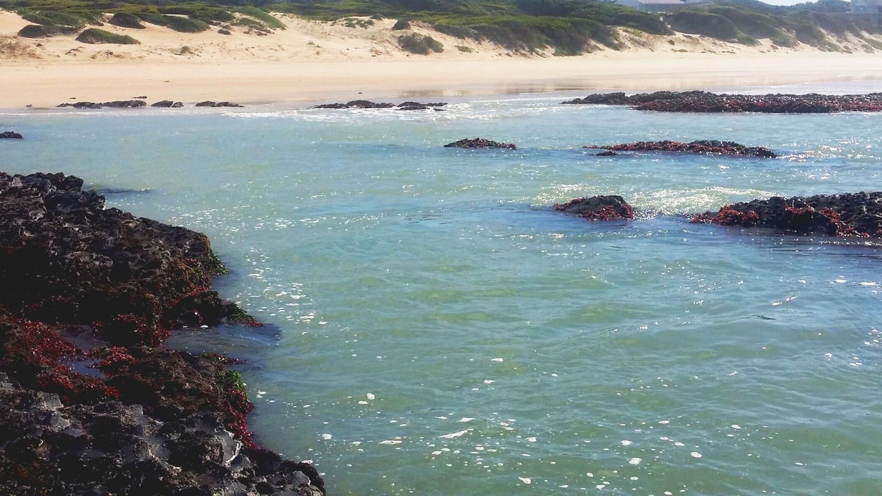 Photo of Others in Paradise Beach