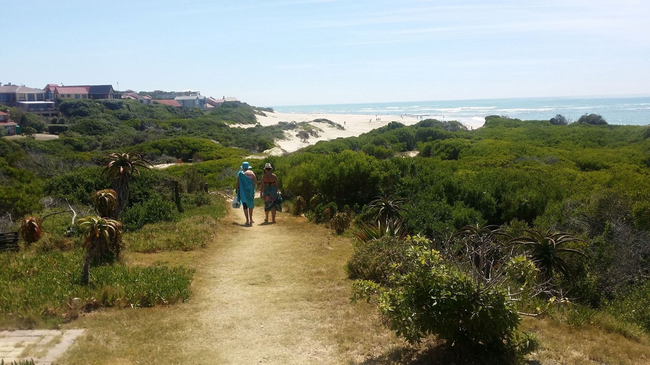 Photo of Others in Paradise Beach