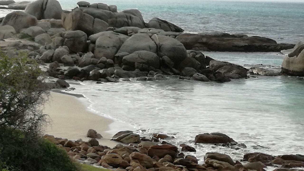 Photo of Others in Simon's Town
