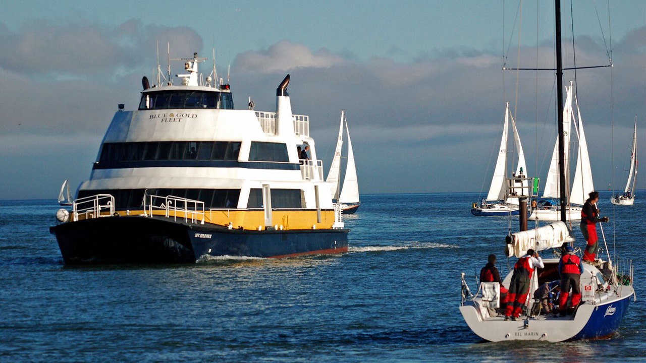 Photo of Others in Belvedere Tiburon