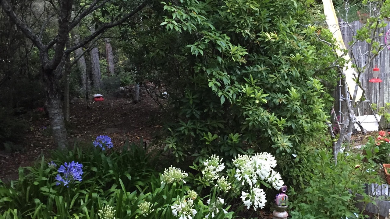 Photo of Outdoor in Mendocino