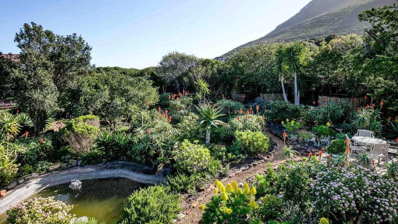 Photo of Outdoor in Noordhoek