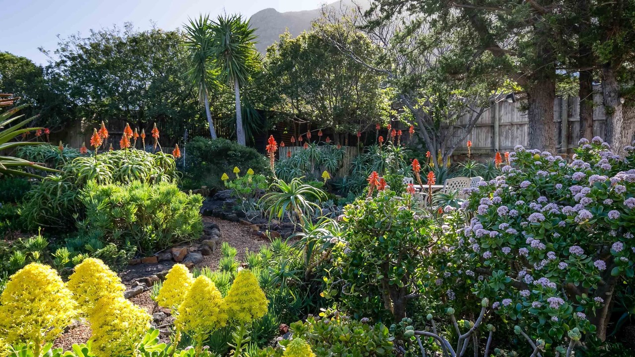 Photo of Outdoor in Noordhoek