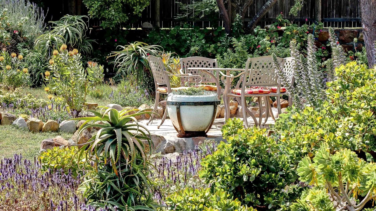 Photo of Outdoor in Noordhoek