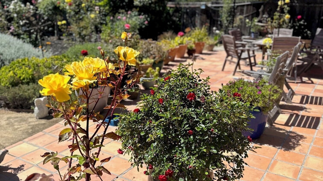 Photo of Patio Balcony in Carmel