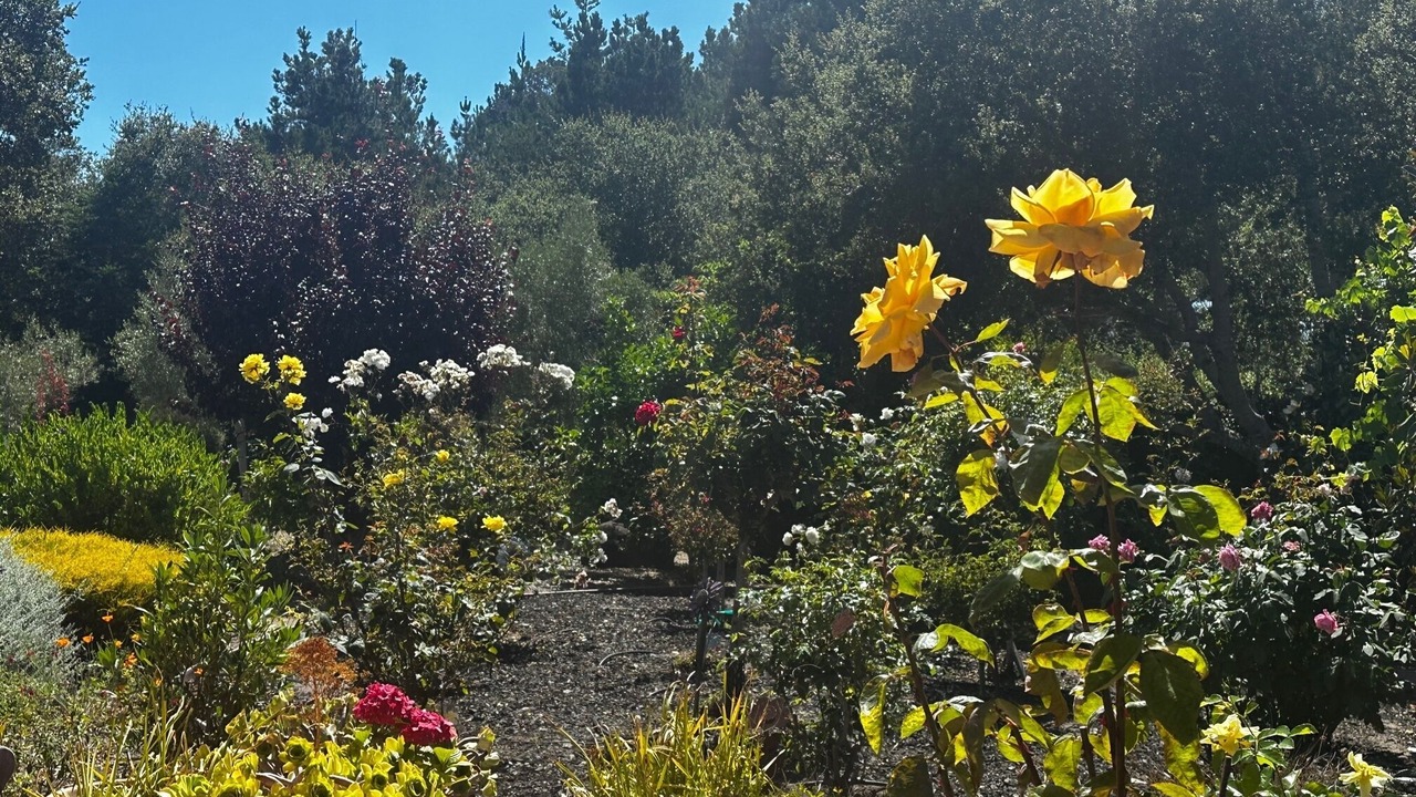 Photo of Outdoor in Carmel