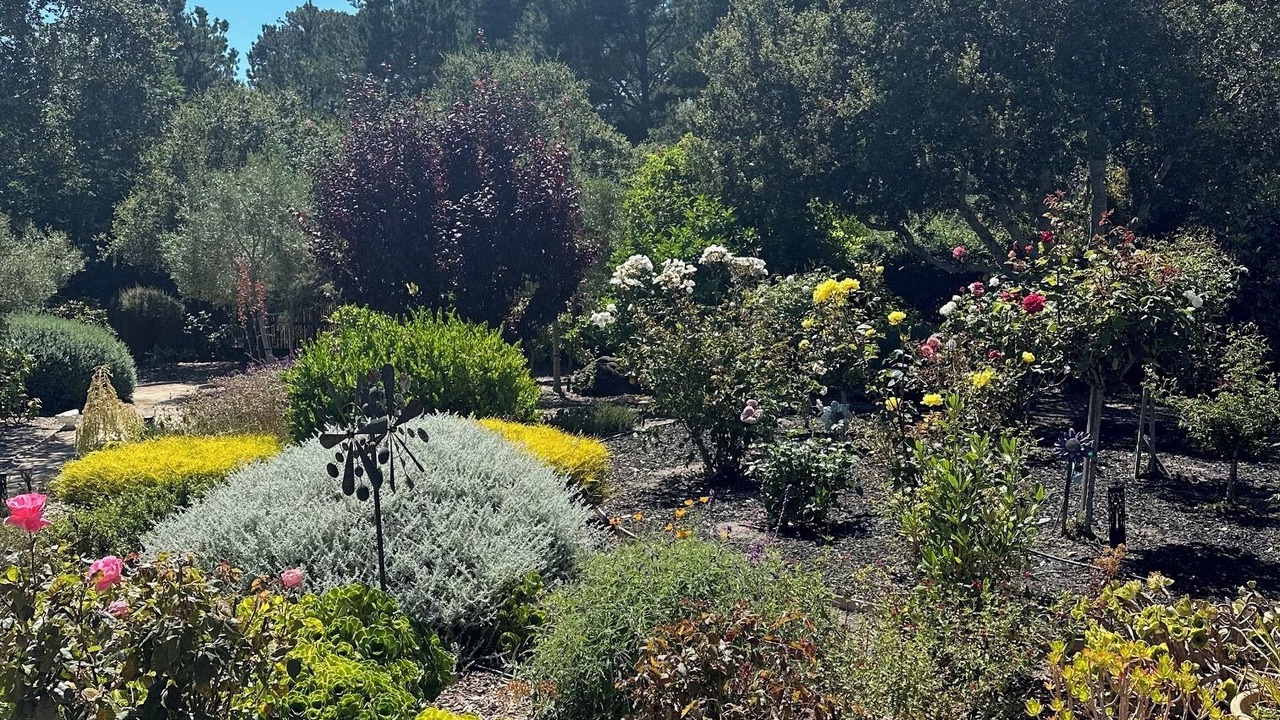 Photo of Outdoor in Carmel