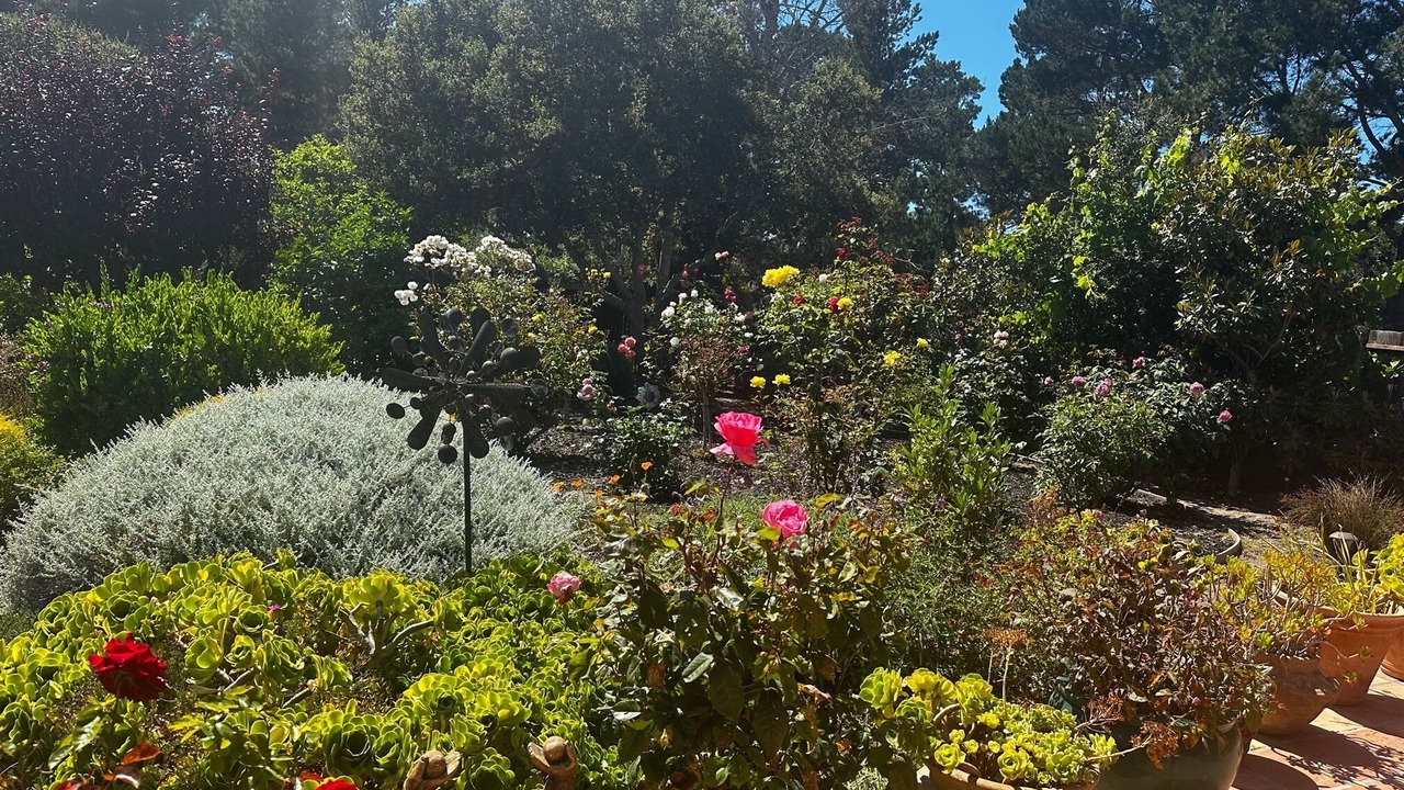 Photo of Outdoor in Carmel