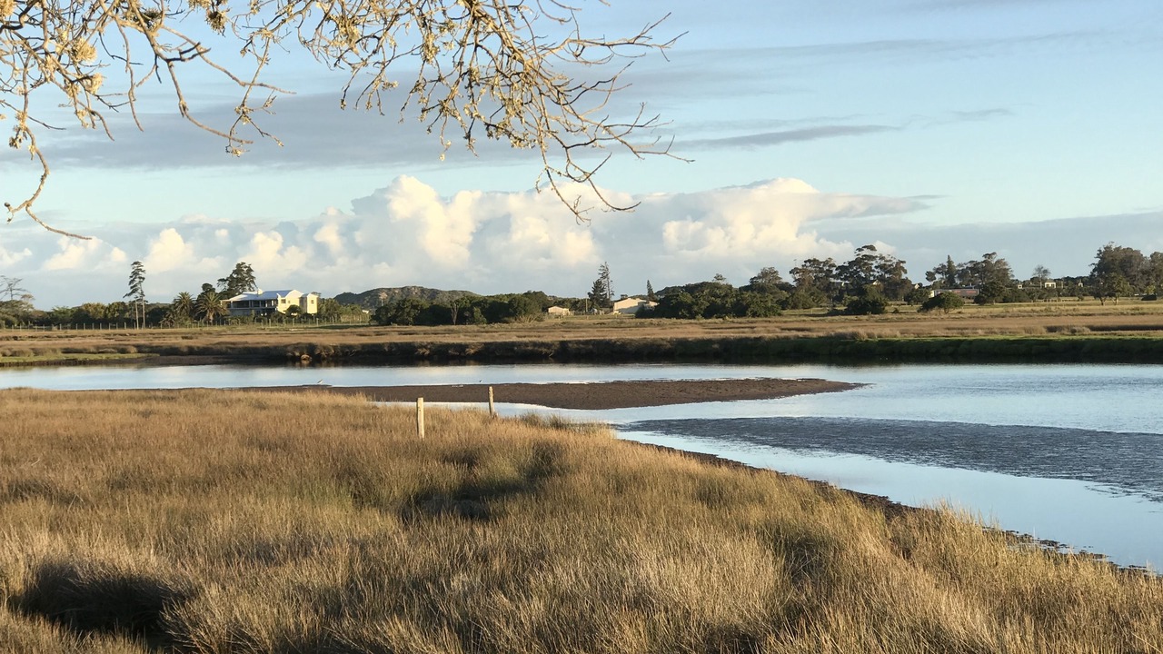 Photo of Outdoor in Plettenberg Bay