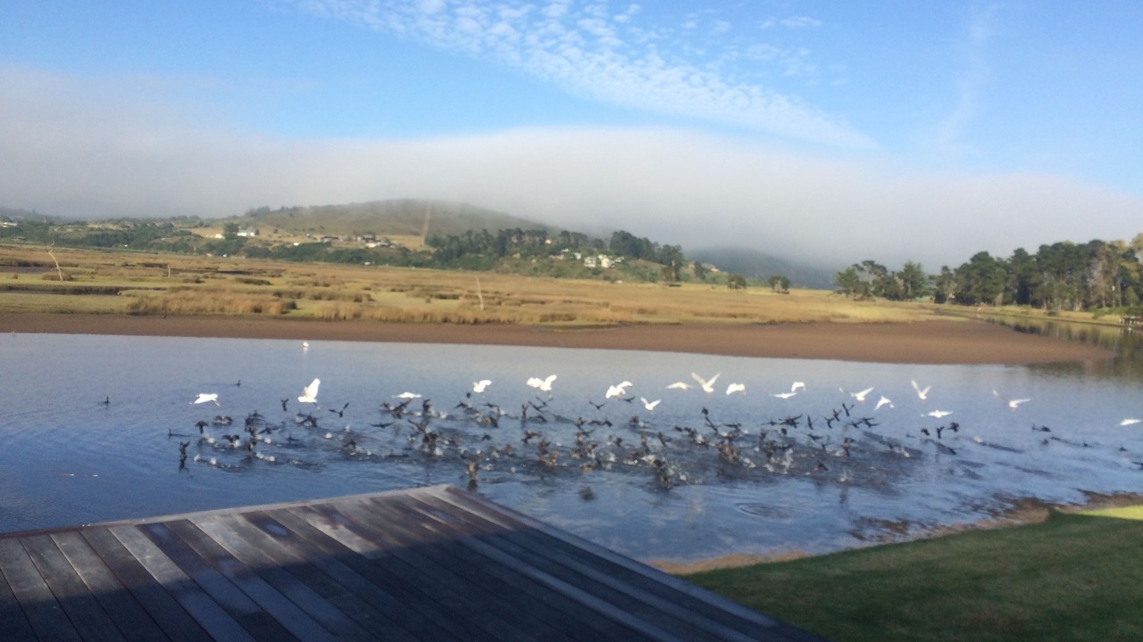 Photo of Others in Plettenberg Bay