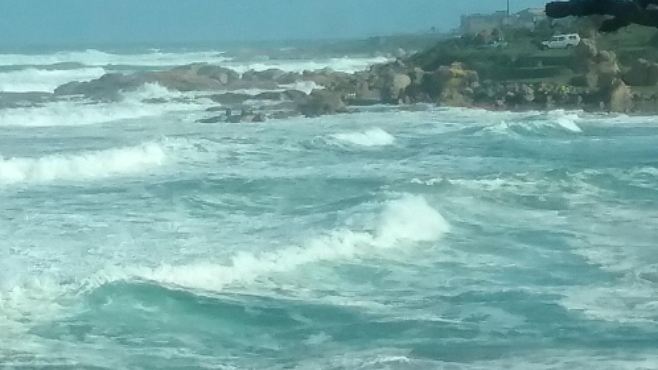 Photo of Others in Port Shepstone