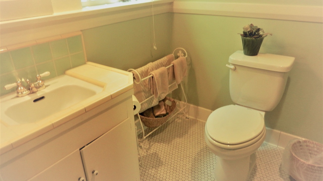 Photo of Bathroom in Lodi
