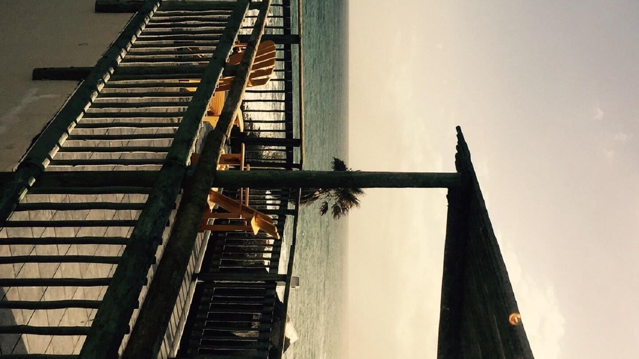Photo of Others in Gansbaai