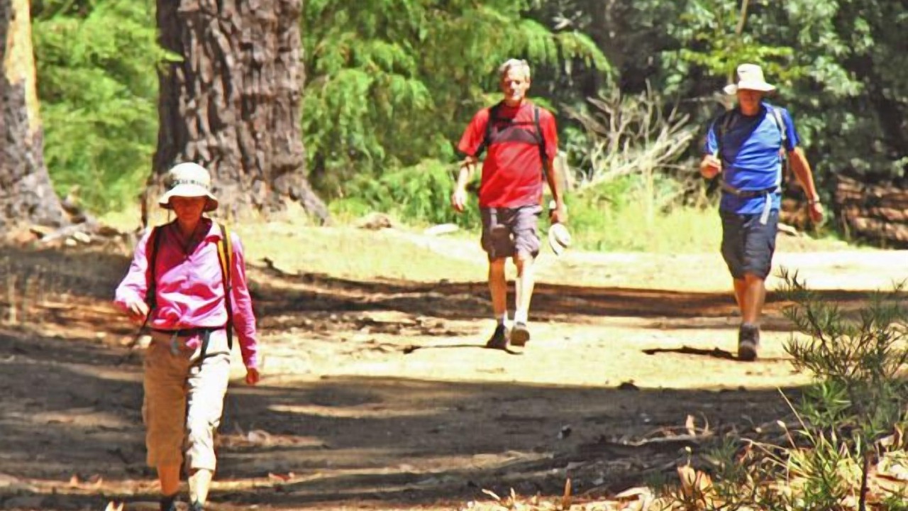 Photo of Others in Steenberg Estate