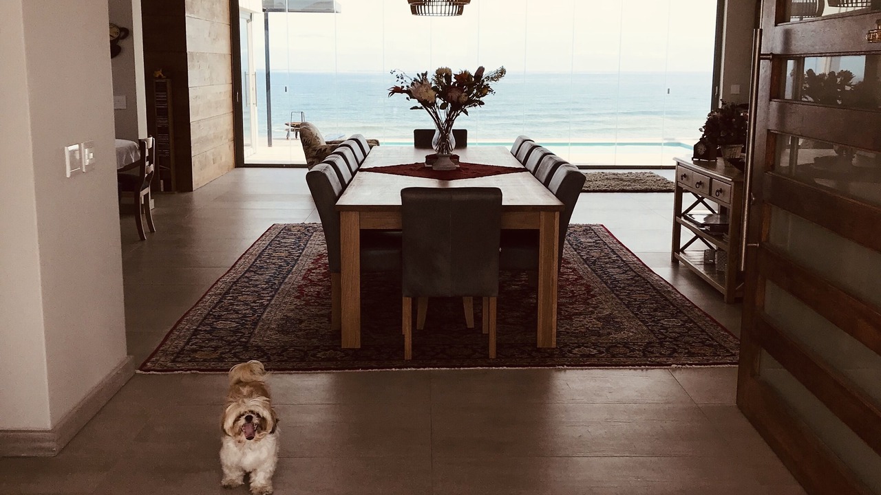 Photo of Others in Yzerfontein