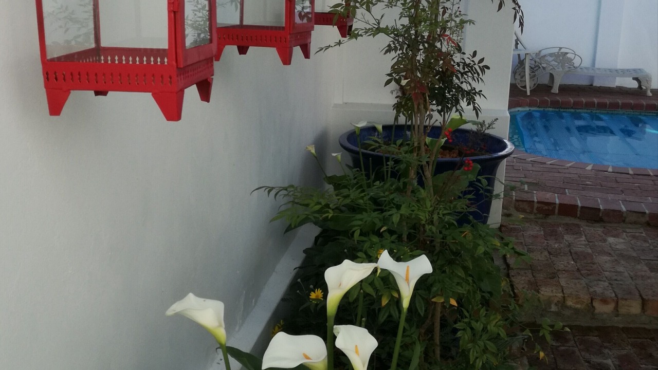Photo of Outdoor in Franschhoek