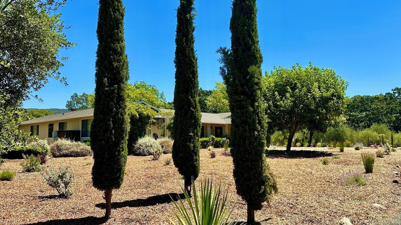 Photo of Others in Sonoma